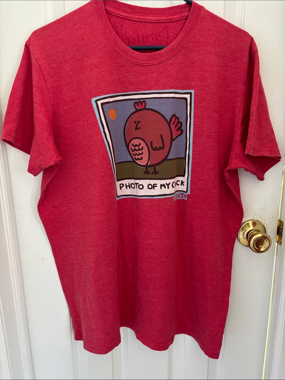 Humorous Tee Shirt